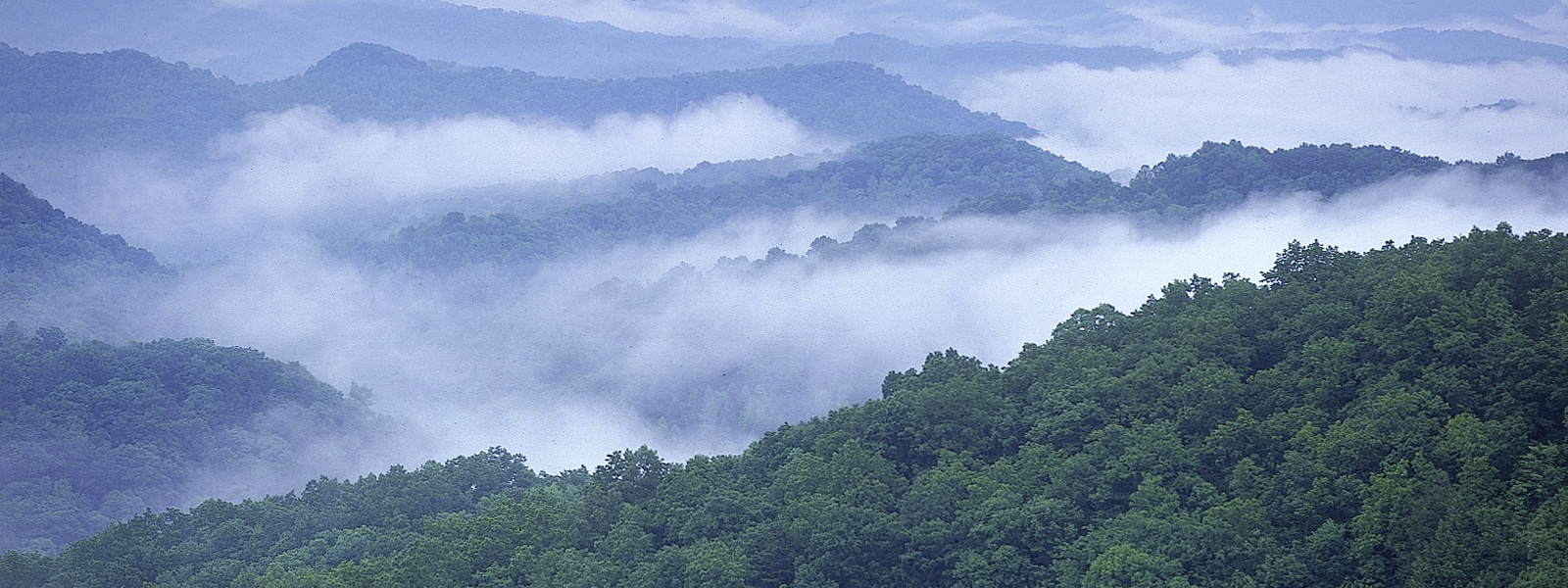 homestory_202511_blanton-eoyletter