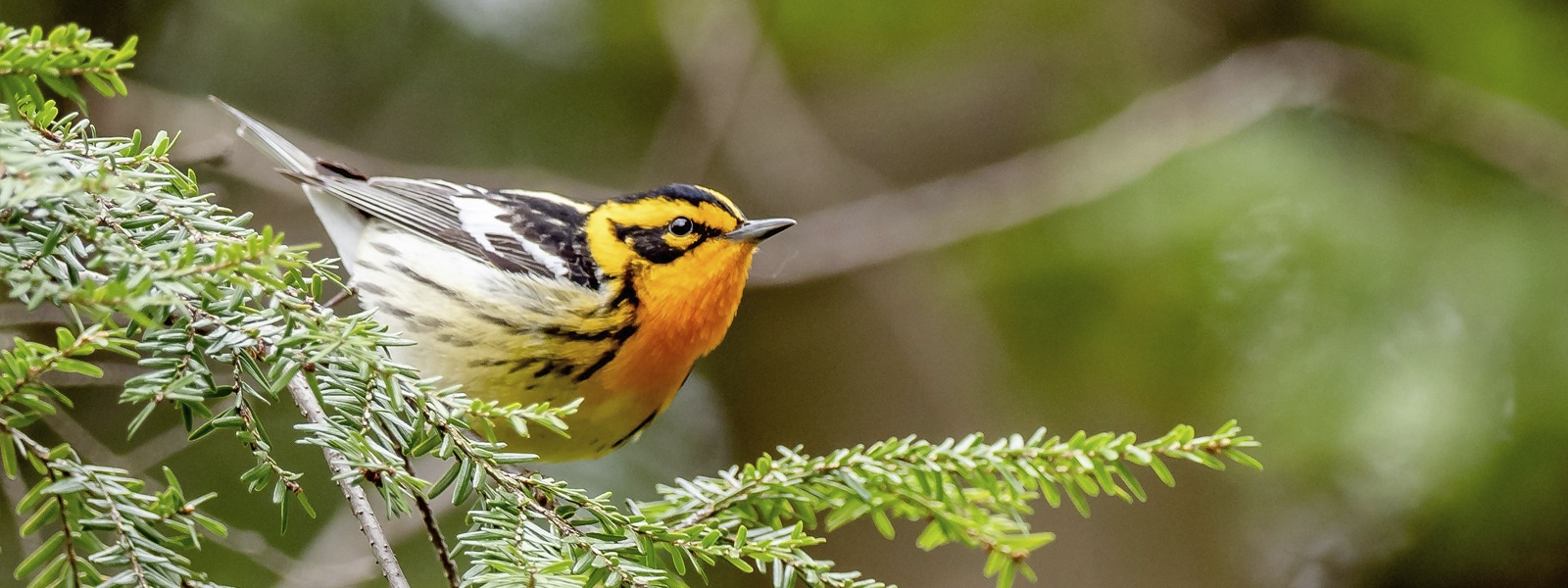 homestory_202511_newlogopost