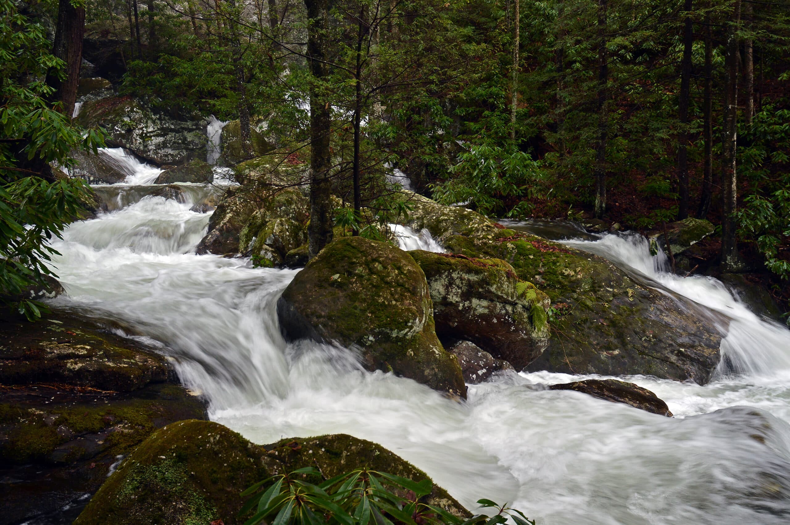 PineMountain-stream_JenniferHoneycutt