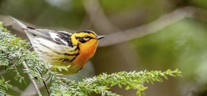 homestory_202511_newlogopost